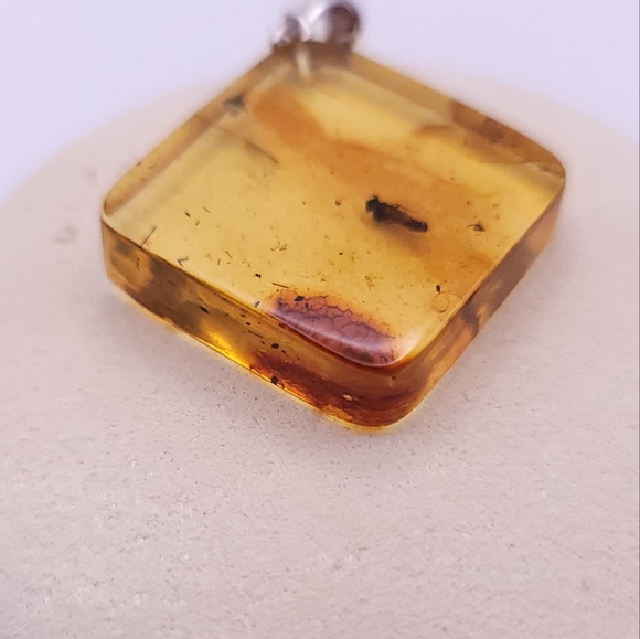 Baltic Amber pendant with insect inclusion - Picture 5 of 5